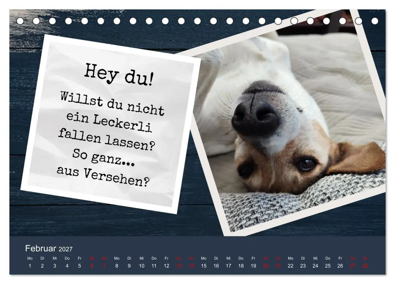 Bild: 9783569417939 | Ratonero Bodeguero Andaluz (Tischkalender 2027 DIN A5 quer),...