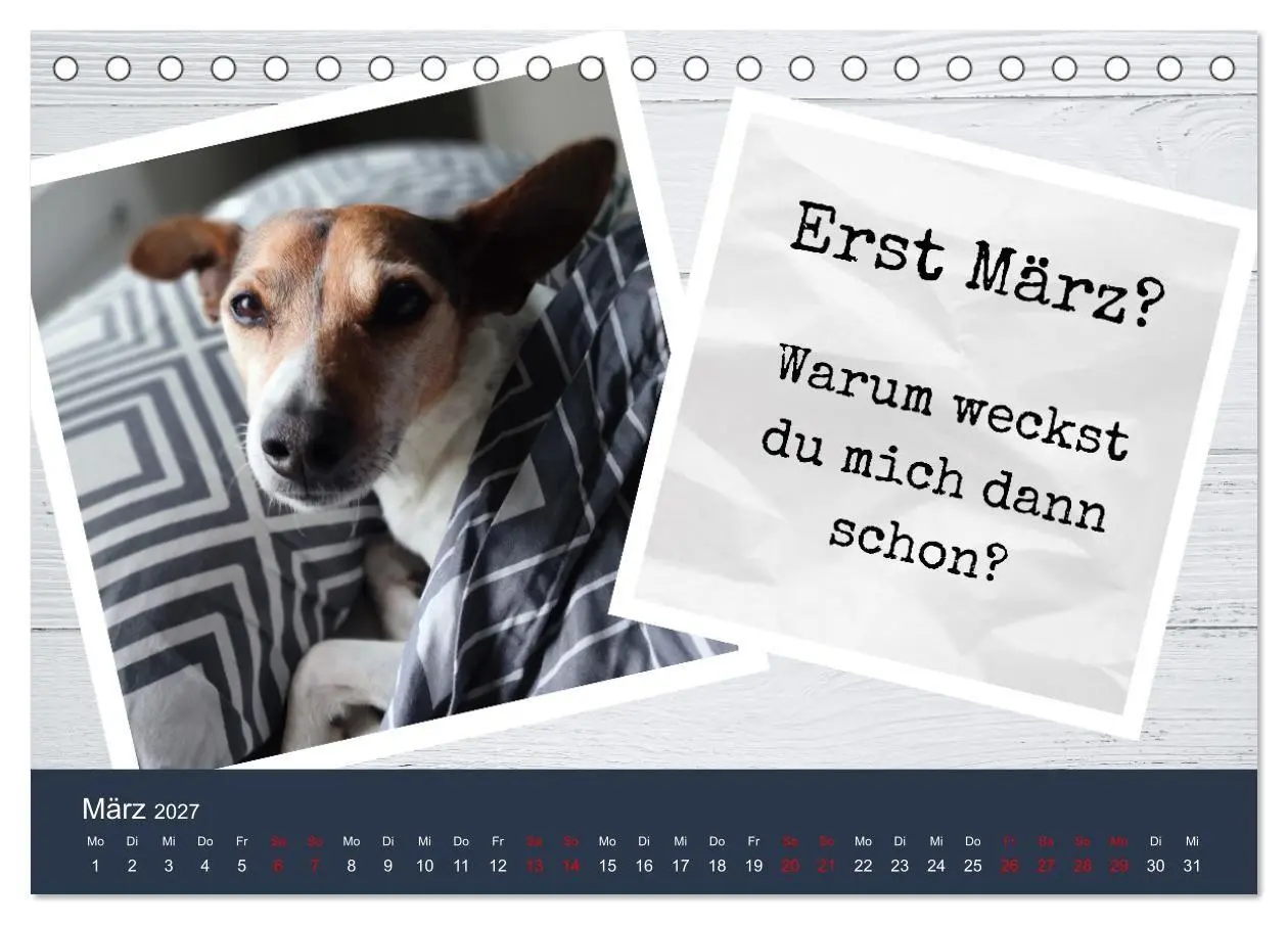 Bild: 9783569417939 | Ratonero Bodeguero Andaluz (Tischkalender 2027 DIN A5 quer),...