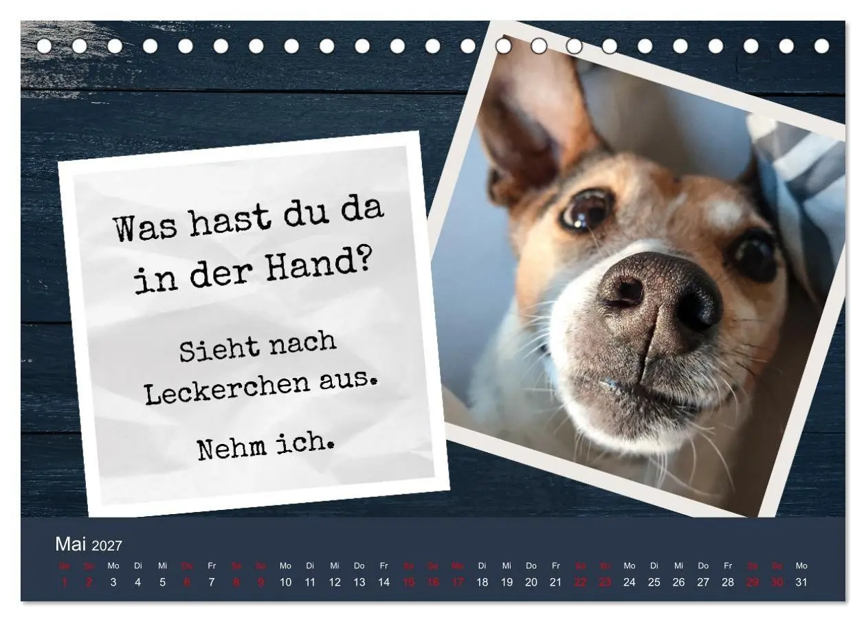 Bild: 9783569417939 | Ratonero Bodeguero Andaluz (Tischkalender 2027 DIN A5 quer),...