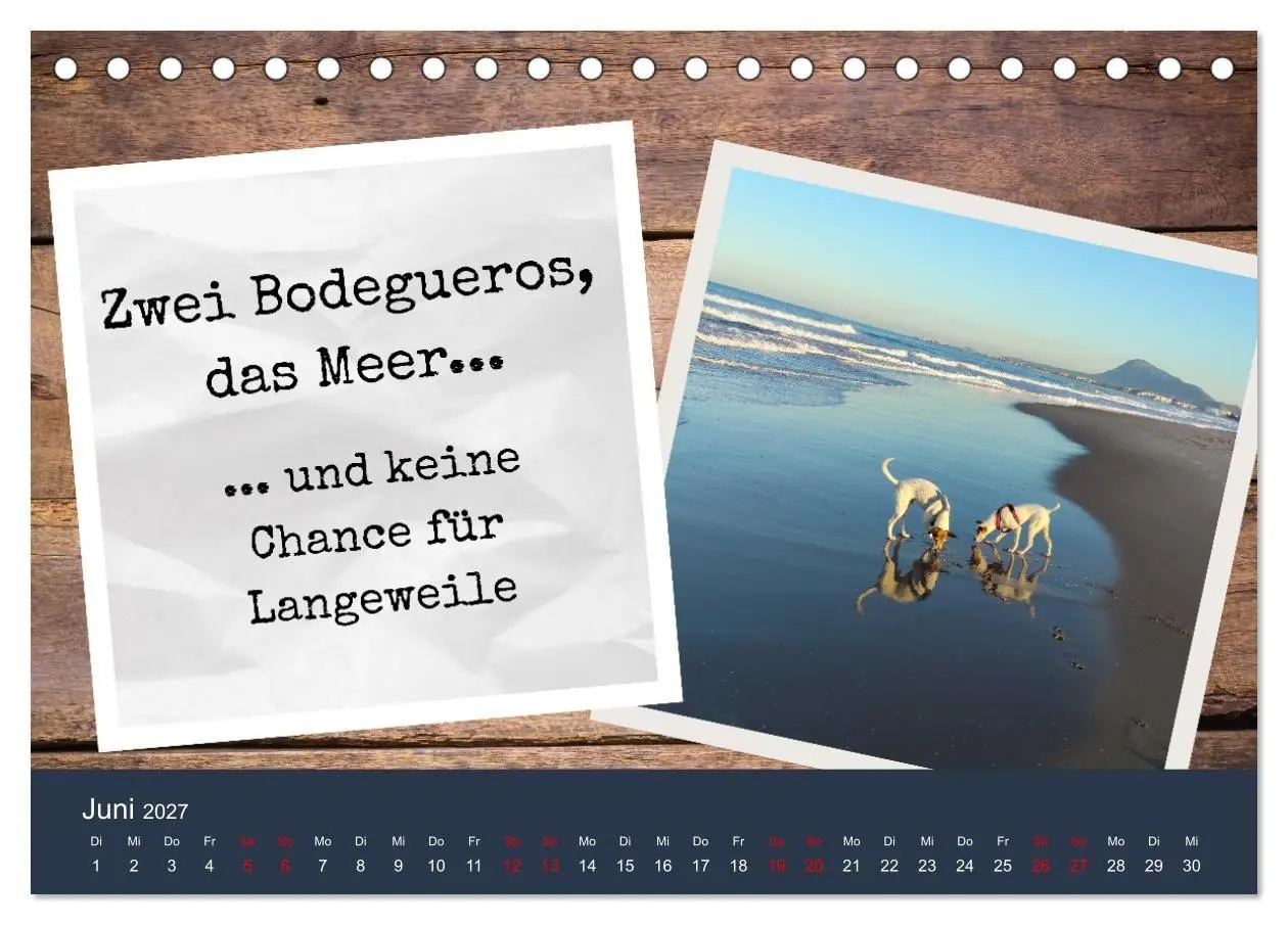 Bild: 9783569417939 | Ratonero Bodeguero Andaluz (Tischkalender 2027 DIN A5 quer),...