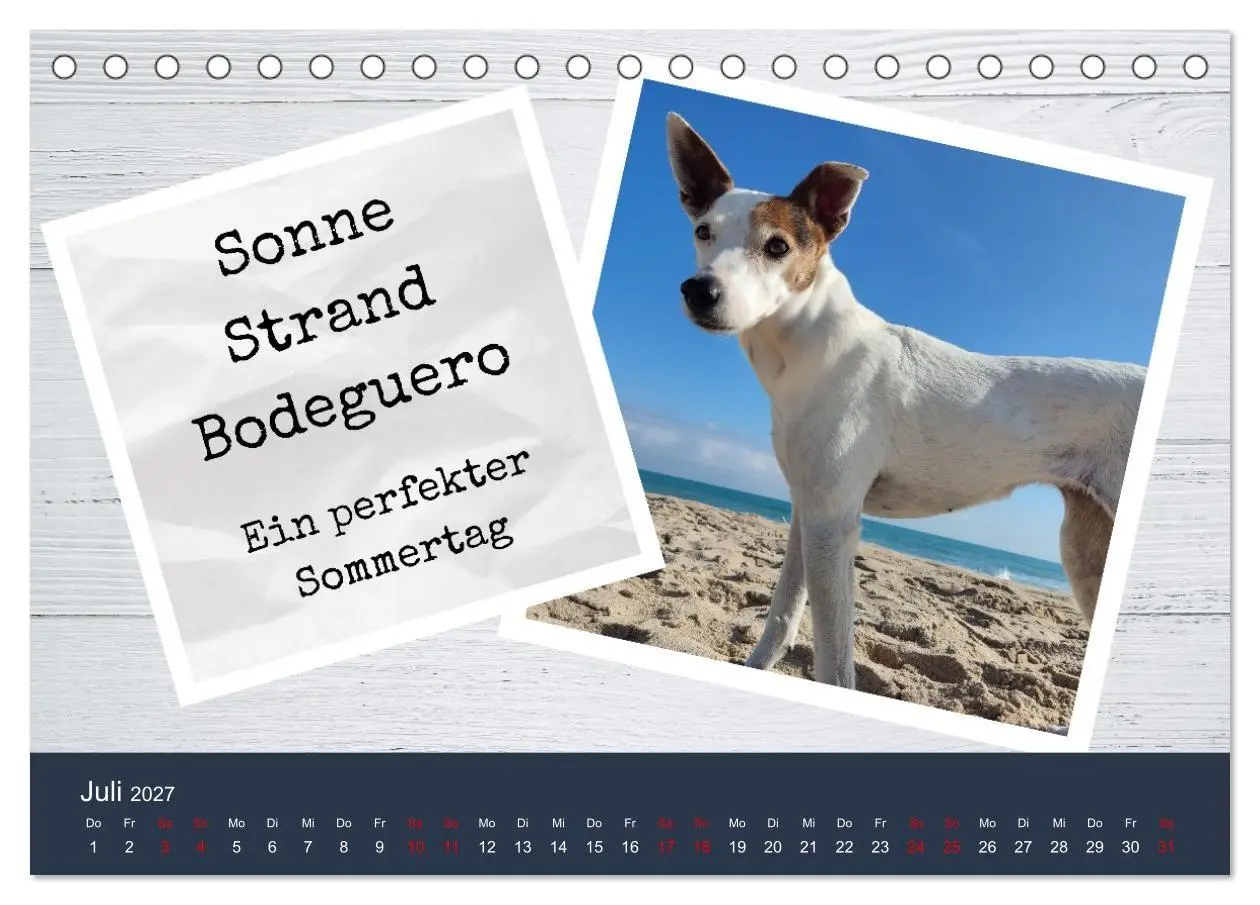 Bild: 9783569417939 | Ratonero Bodeguero Andaluz (Tischkalender 2027 DIN A5 quer),...