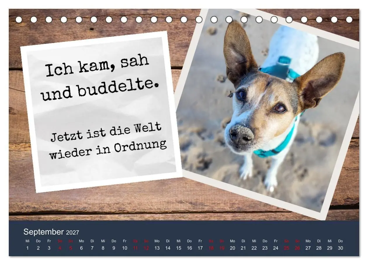 Bild: 9783569417939 | Ratonero Bodeguero Andaluz (Tischkalender 2027 DIN A5 quer),...