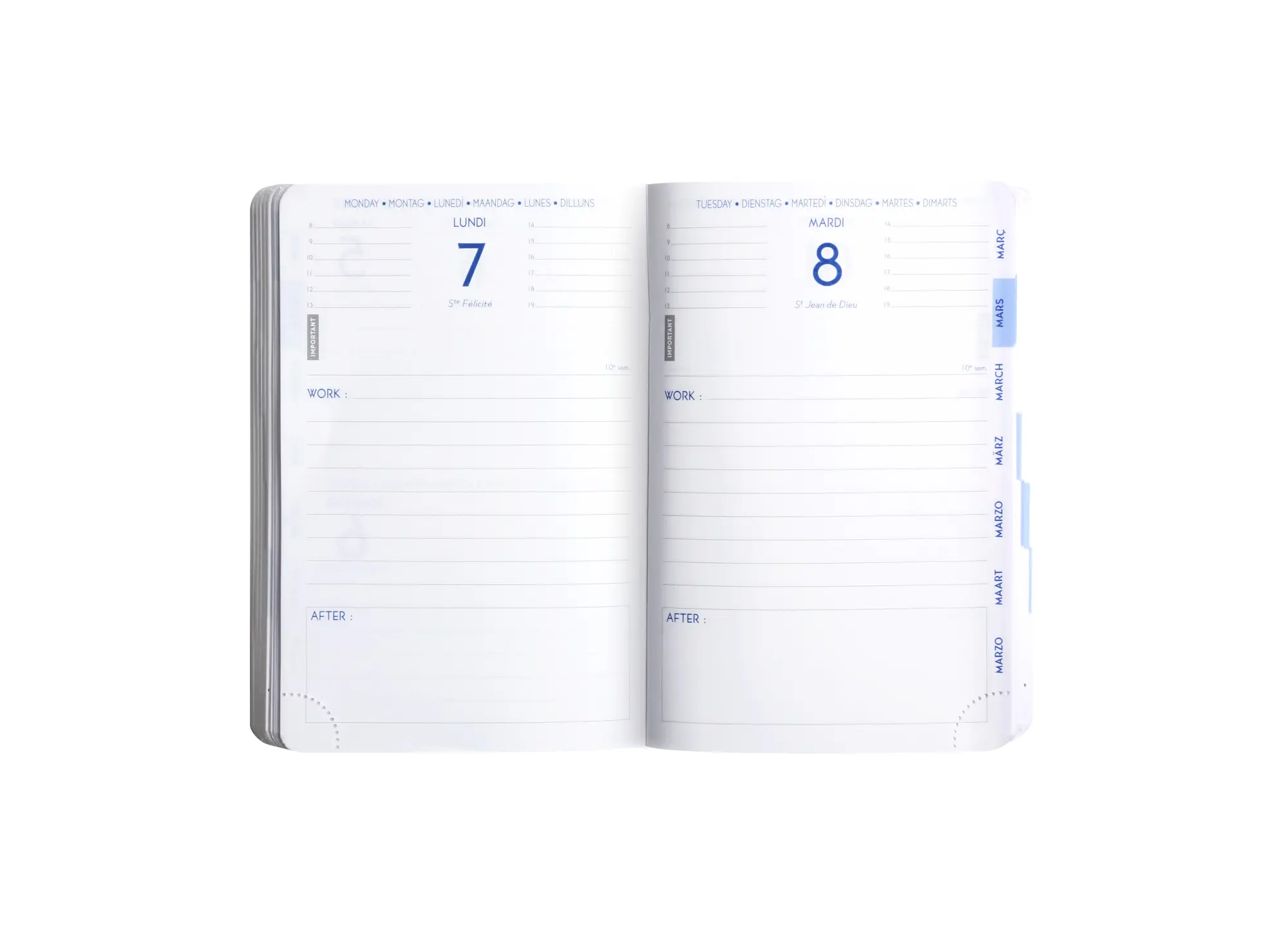 Bild: 3660942088039 | Schülerkalender Work&amp;After Floral 2025/2026 | Quo Vadis | Buch | 2026