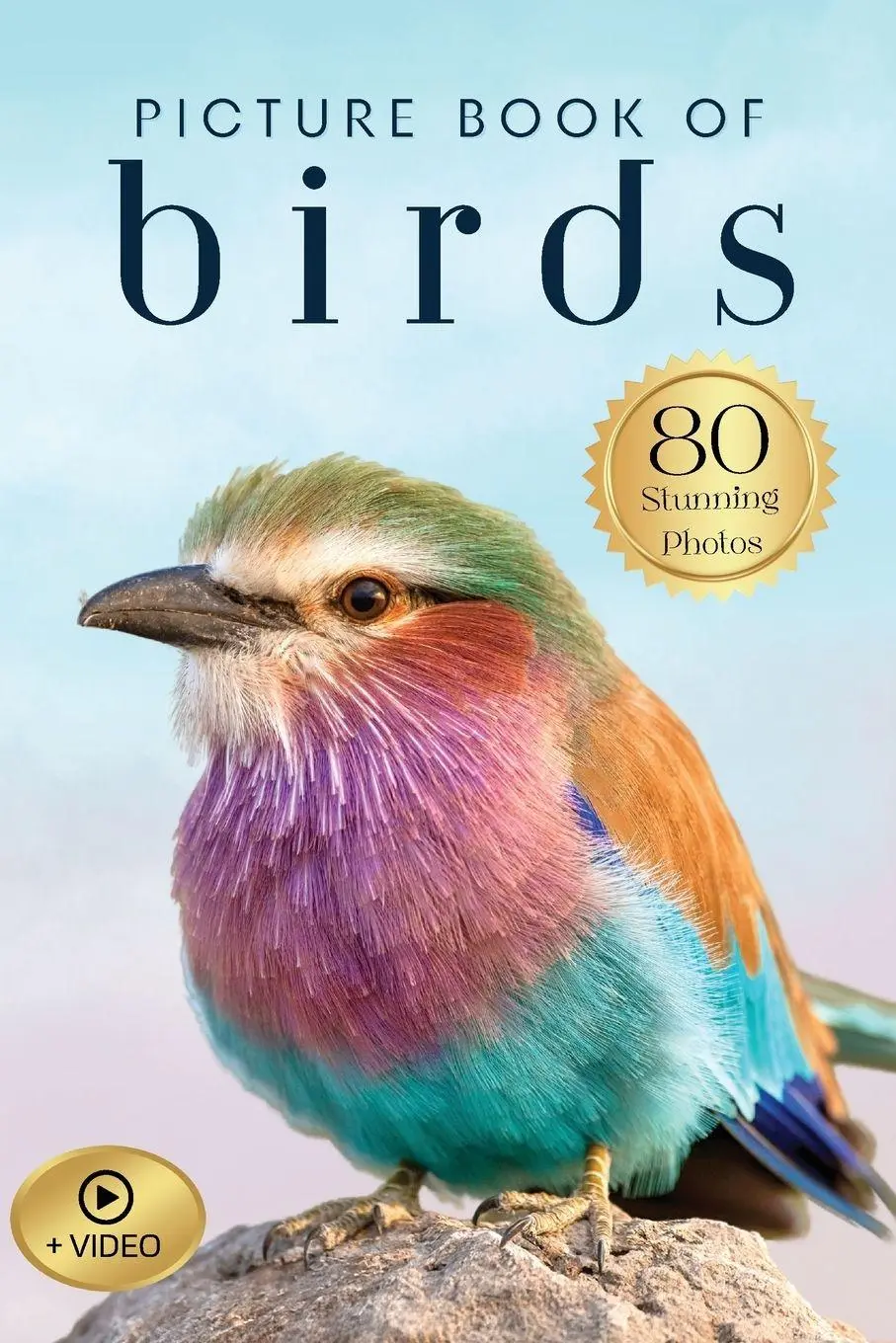 Cover: 9780645528039 | Picture Book of Birds | Silver Dove | Taschenbuch | Englisch | 2025