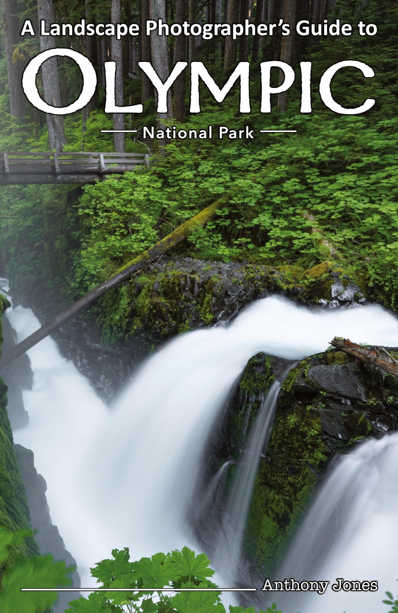 Cover: 9781732168039 | A Landscape Photographer's Guide to Olympic National Park | Jones