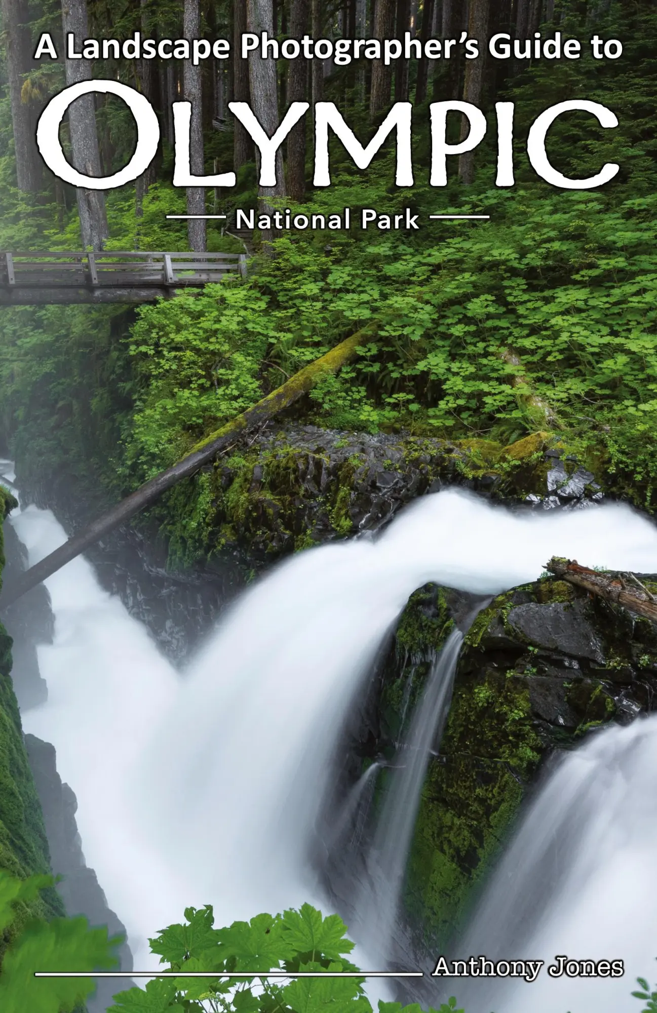 Cover: 9781732168039 | A Landscape Photographer's Guide to Olympic National Park | Jones
