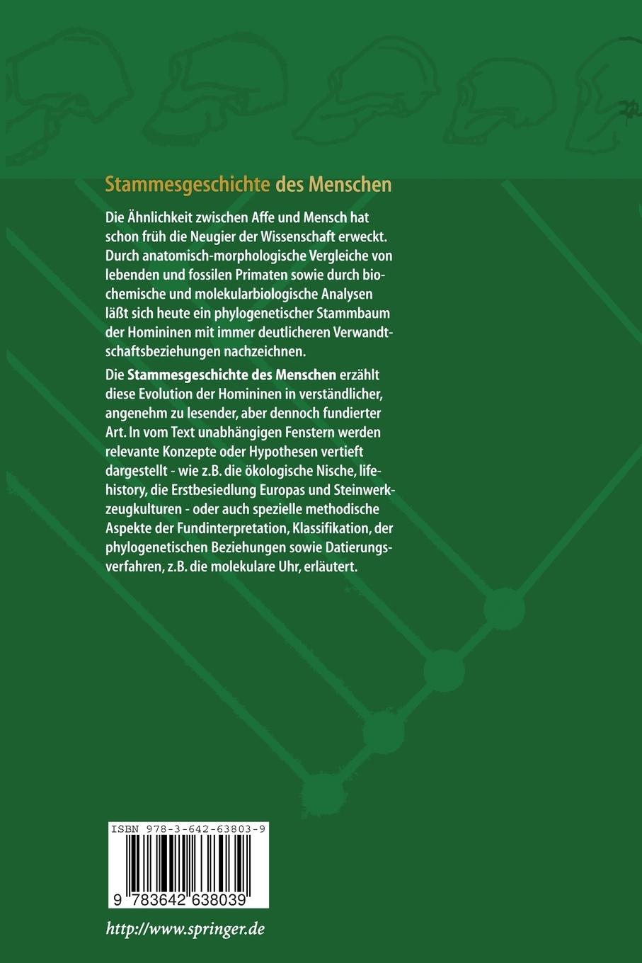 Rückseite: 9783642638039 | Stammesgeschichte des Menschen | Eine Einführung | Rothe (u. a.) | x
