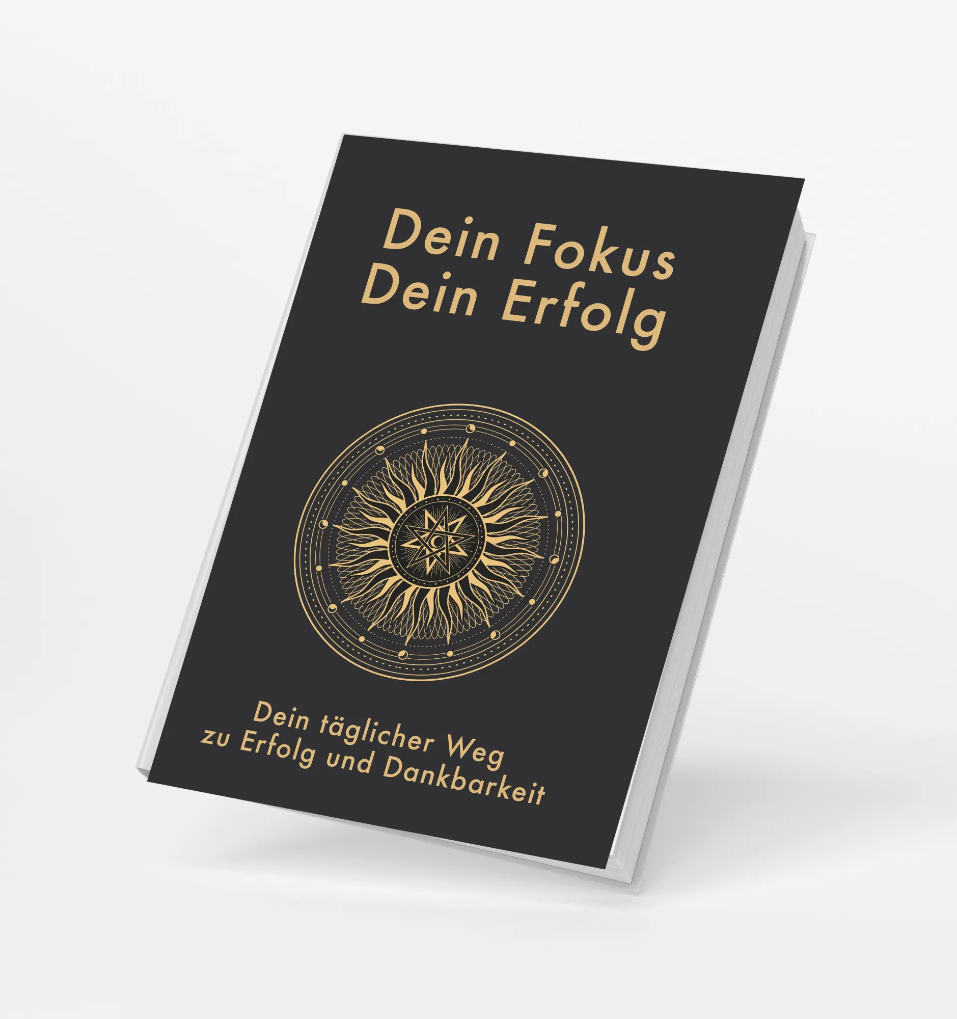 Cover: 9783911608039 | Dein Fokus - Dein Erfolg | Sabine Oswald (u. a.) | Taschenbuch | 2025