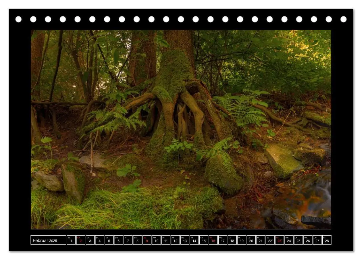 Bild: 9783435578139 | Annaberg im Erzgebirge (Tischkalender 2025 DIN A5 quer), CALVENDO...