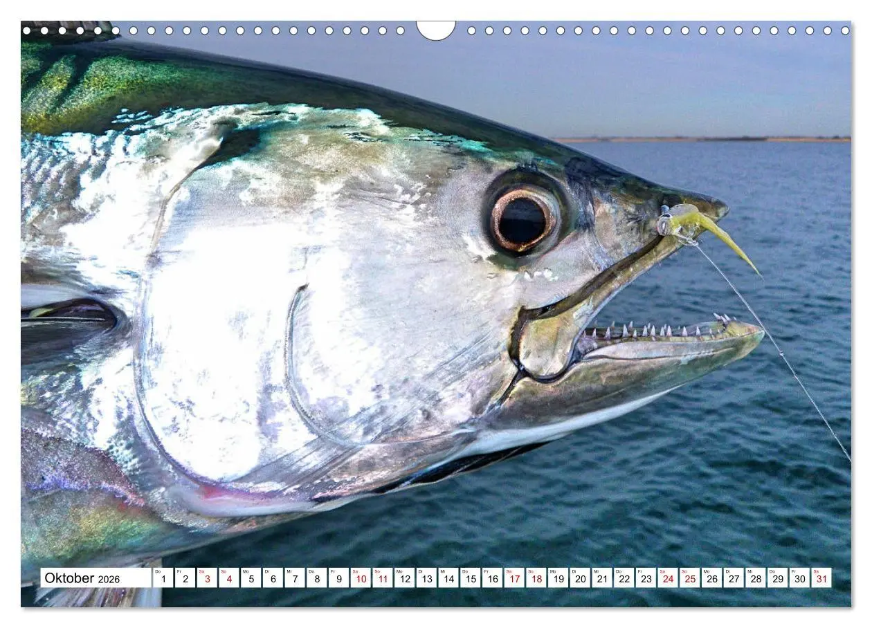 Bild: 9783457598139 | Anglerglück - den Fisch am Haken (Wandkalender 2026 DIN A3 quer),...