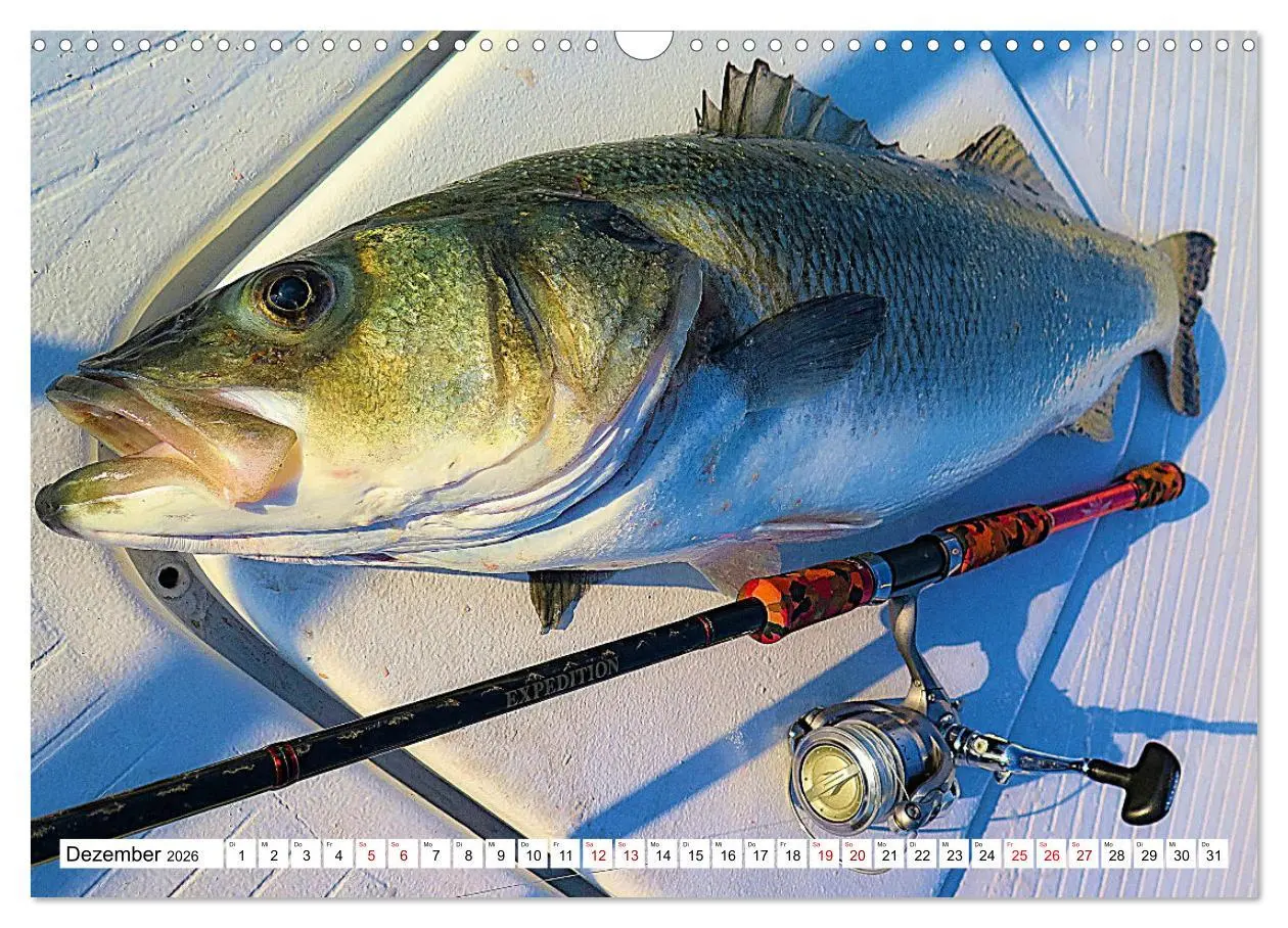Bild: 9783457598139 | Anglerglück - den Fisch am Haken (Wandkalender 2026 DIN A3 quer),...
