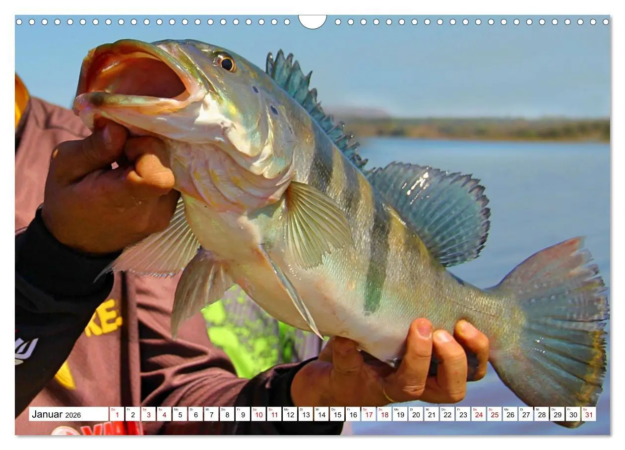 Bild: 9783457598139 | Anglerglück - den Fisch am Haken (Wandkalender 2026 DIN A3 quer),...