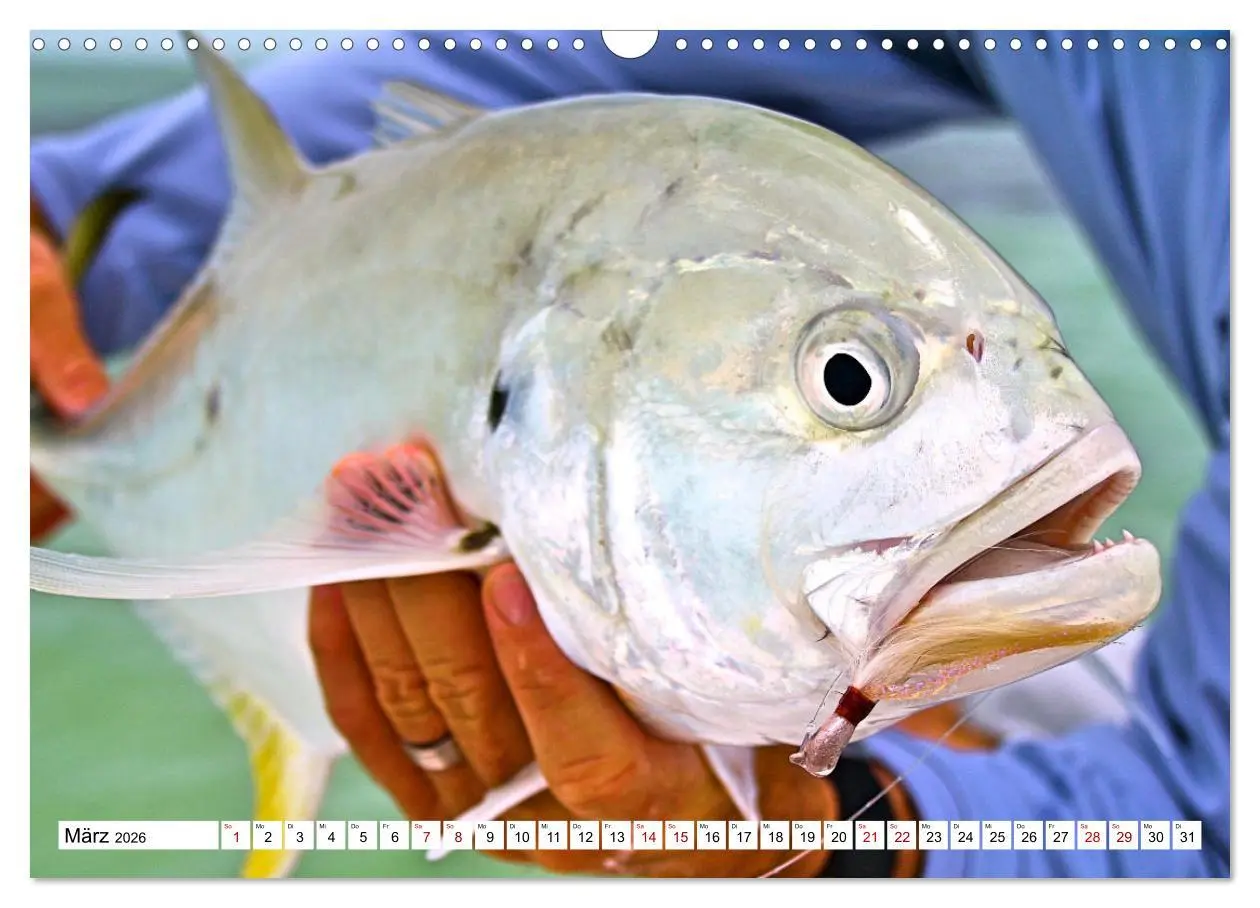 Bild: 9783457598139 | Anglerglück - den Fisch am Haken (Wandkalender 2026 DIN A3 quer),...