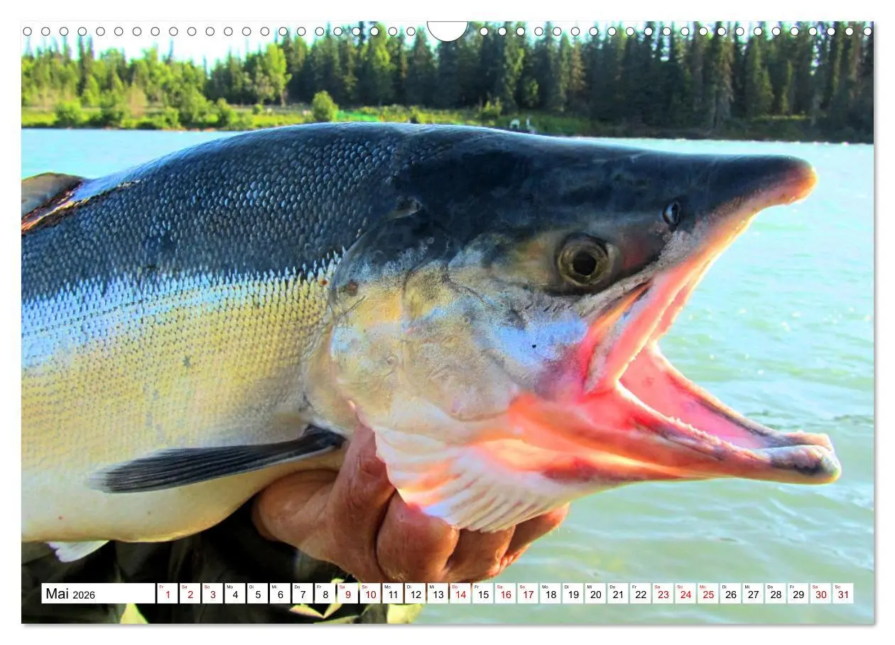 Bild: 9783457598139 | Anglerglück - den Fisch am Haken (Wandkalender 2026 DIN A3 quer),...