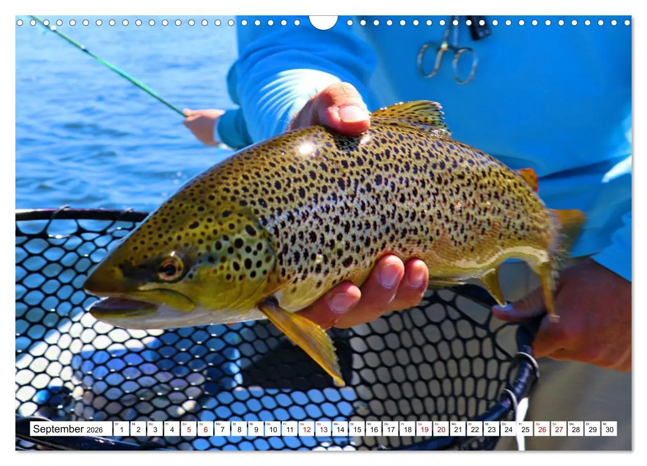 Bild: 9783457598139 | Anglerglück - den Fisch am Haken (Wandkalender 2026 DIN A3 quer),...