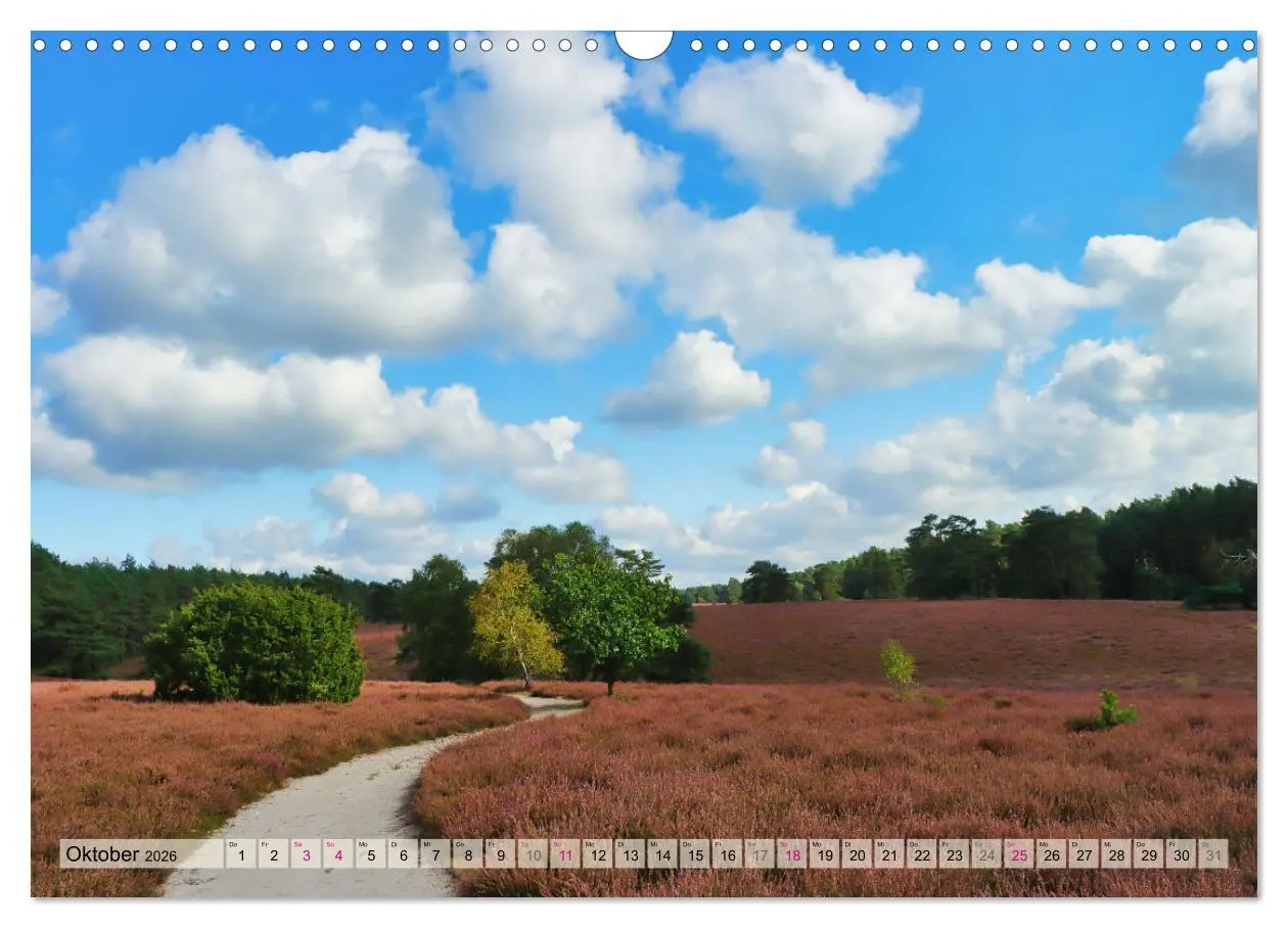 Bild: 9783457338339 | Lüneburger Südheide (Wandkalender 2026 DIN A3 quer), CALVENDO...