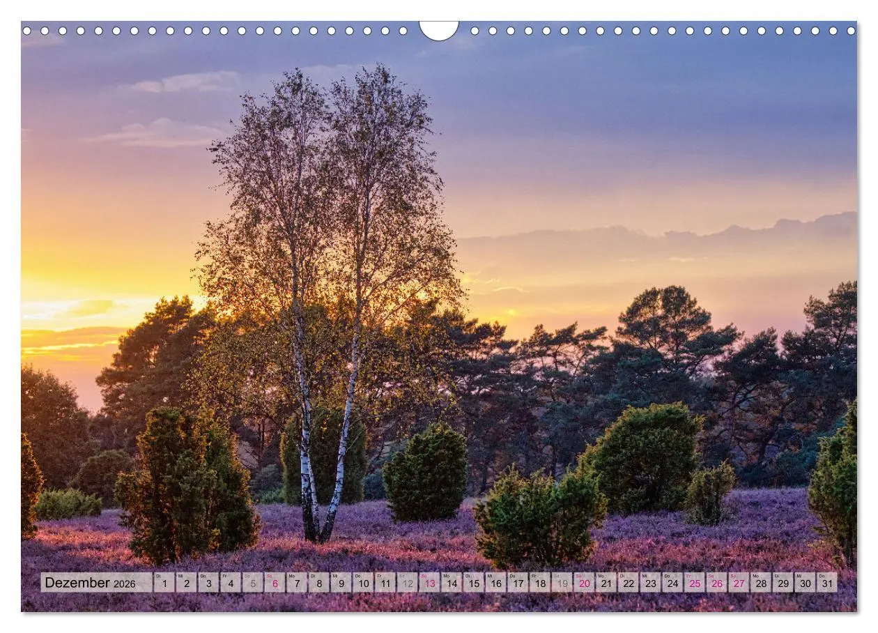 Bild: 9783457338339 | Lüneburger Südheide (Wandkalender 2026 DIN A3 quer), CALVENDO...