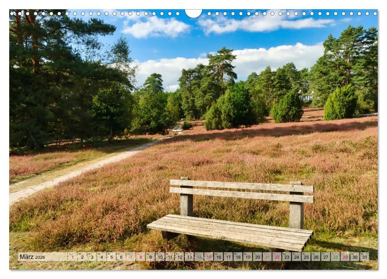 Bild: 9783457338339 | Lüneburger Südheide (Wandkalender 2026 DIN A3 quer), CALVENDO...