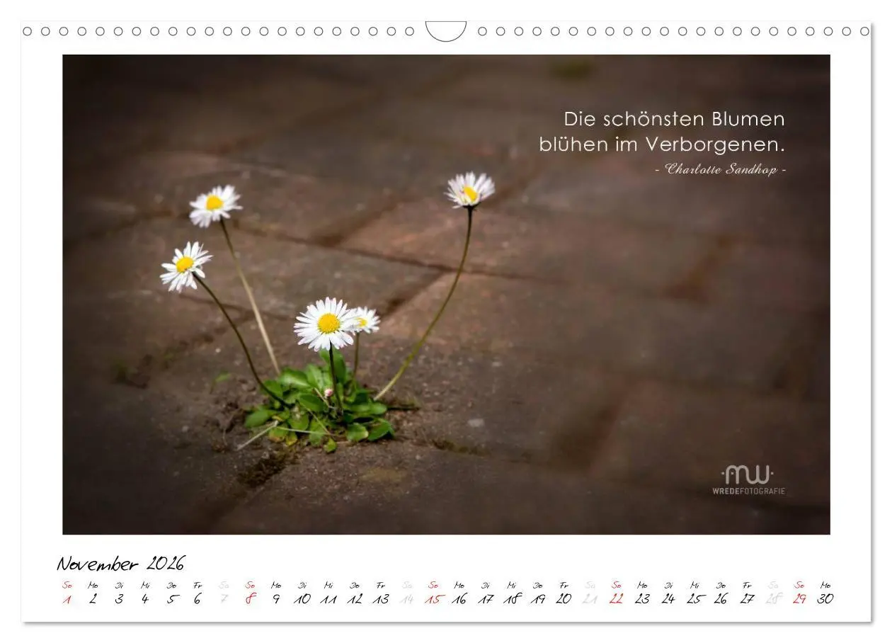 Bild: 9783516118339 | Gedanken... Bildkalender mit Sprüchen (Wandkalender 2026 DIN A3...