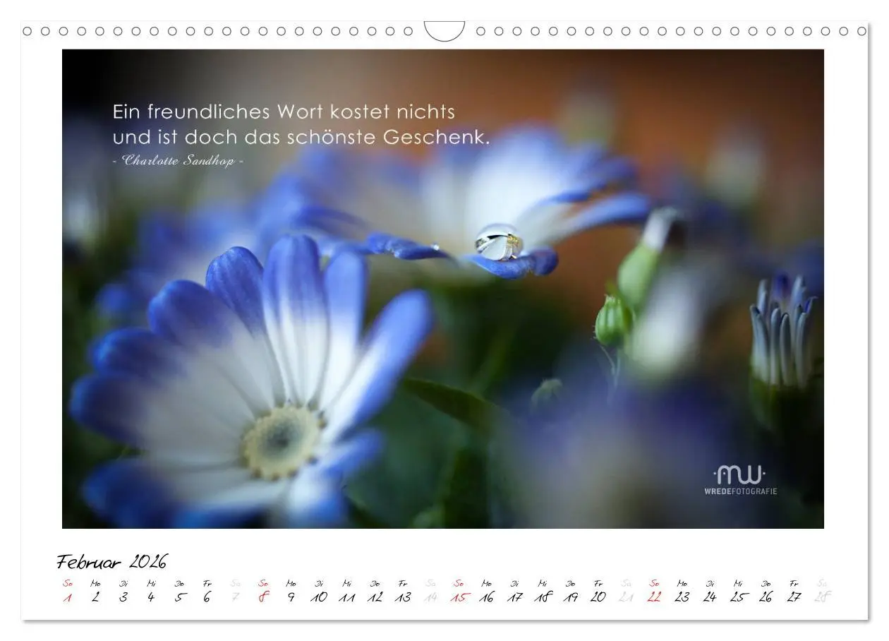 Bild: 9783516118339 | Gedanken... Bildkalender mit Sprüchen (Wandkalender 2026 DIN A3...