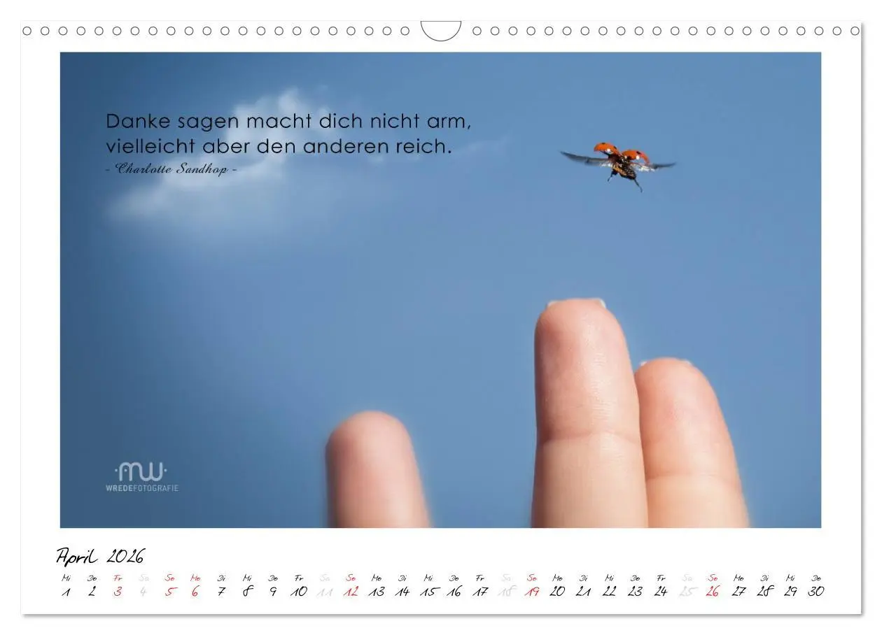 Bild: 9783516118339 | Gedanken... Bildkalender mit Sprüchen (Wandkalender 2026 DIN A3...