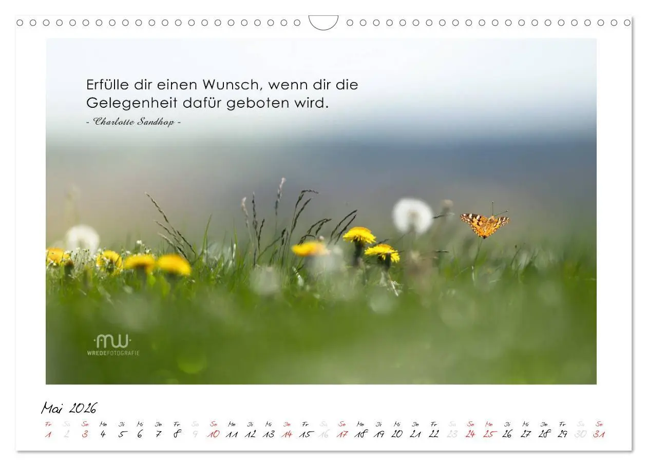 Bild: 9783516118339 | Gedanken... Bildkalender mit Sprüchen (Wandkalender 2026 DIN A3...
