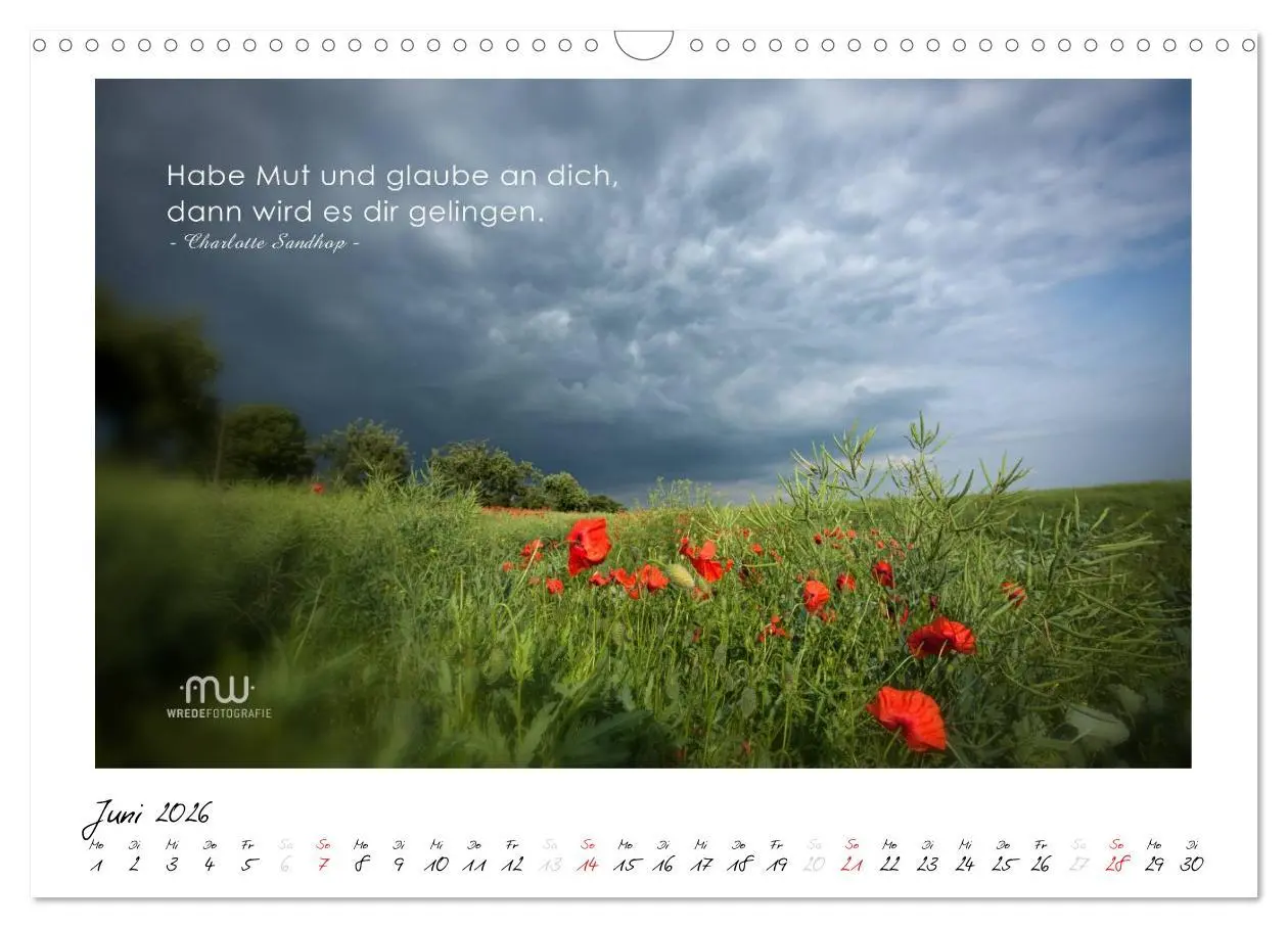 Bild: 9783516118339 | Gedanken... Bildkalender mit Sprüchen (Wandkalender 2026 DIN A3...
