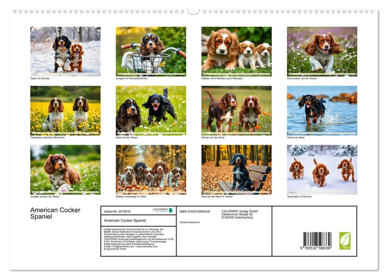 Bild: 9783516598339 | American Cocker Spaniel (hochwertiger Premium Wandkalender 2026 DIN...