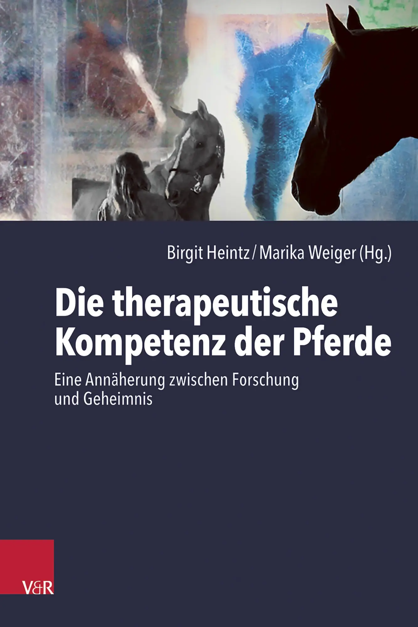 Cover: 9783525408339 | Die therapeutische Kompetenz der Pferde | Birgit Heintz (u. a.) | Buch