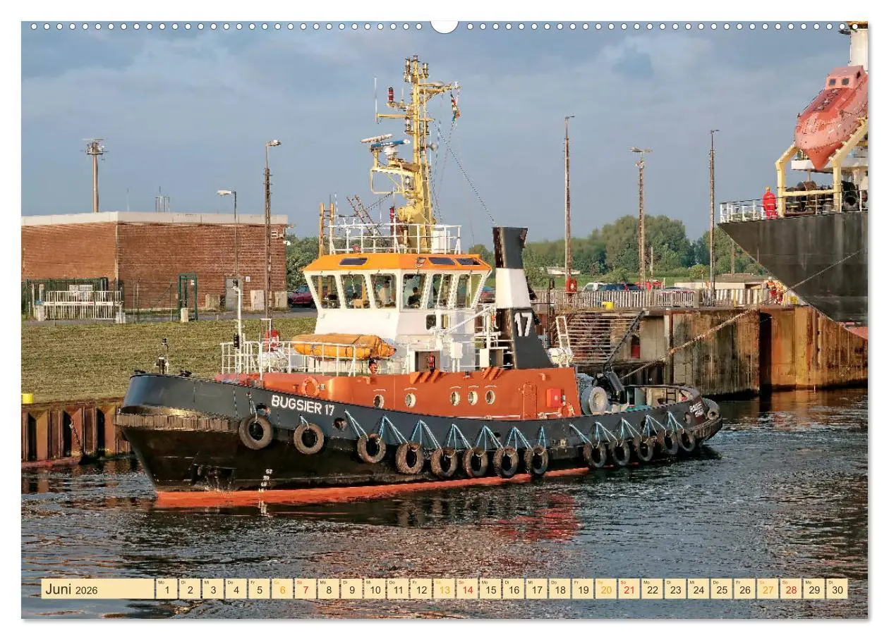 Bild: 9783457708439 | Schlepper - bärenstarke Arbeitstiere (Wandkalender 2026 DIN A2...