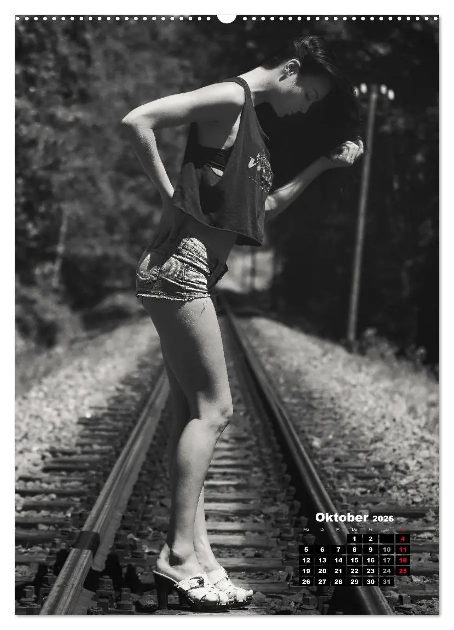 Bild: 9783516408539 | Christiane Schleicher Noir (Wandkalender 2026 DIN A2 hoch),...