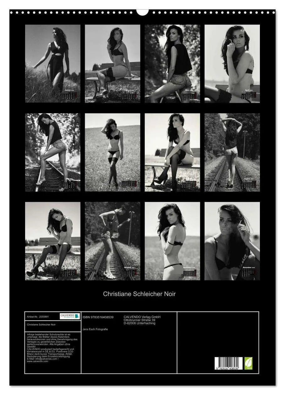 Bild: 9783516408539 | Christiane Schleicher Noir (Wandkalender 2026 DIN A2 hoch),...