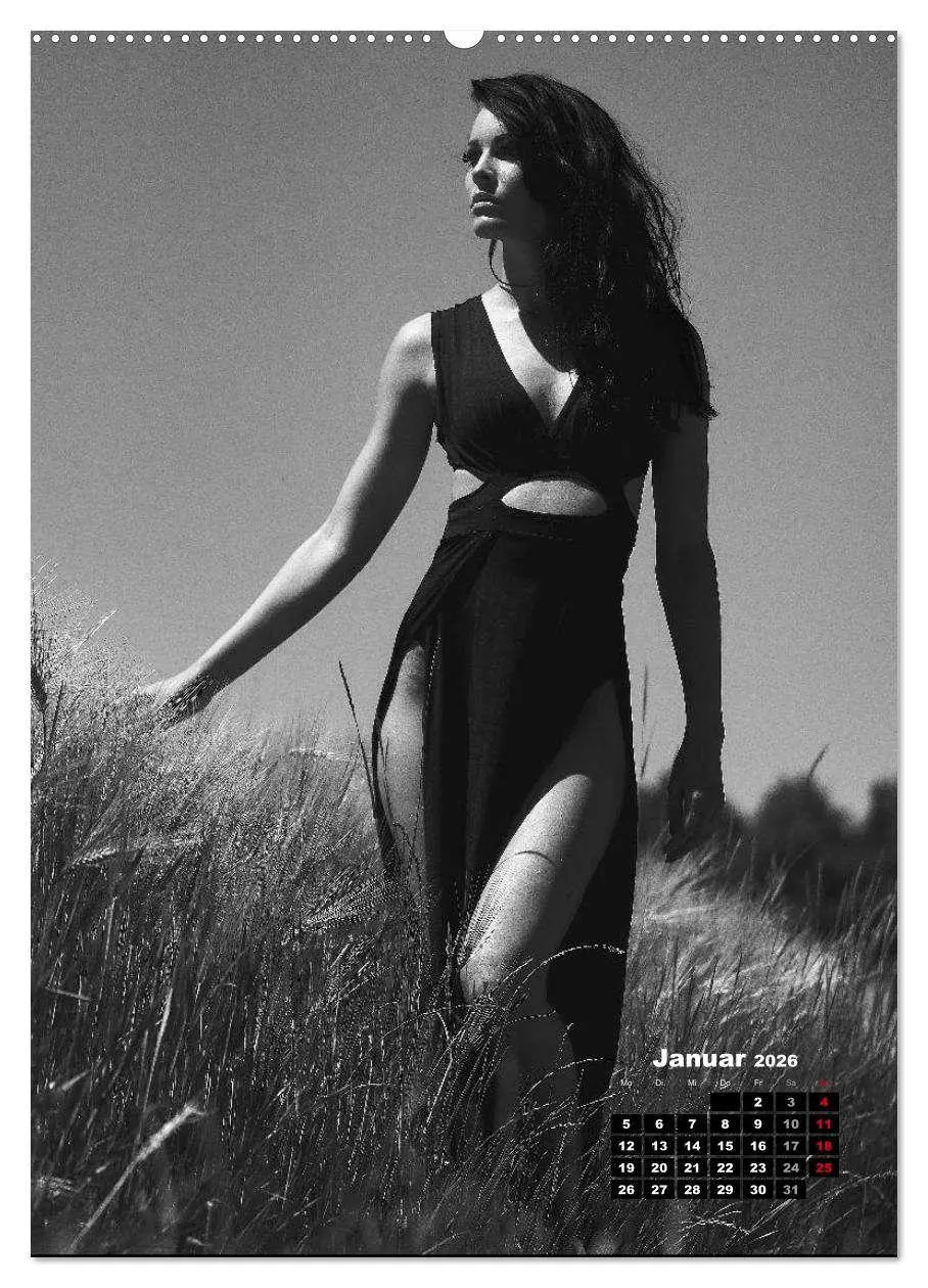 Bild: 9783516408539 | Christiane Schleicher Noir (Wandkalender 2026 DIN A2 hoch),...