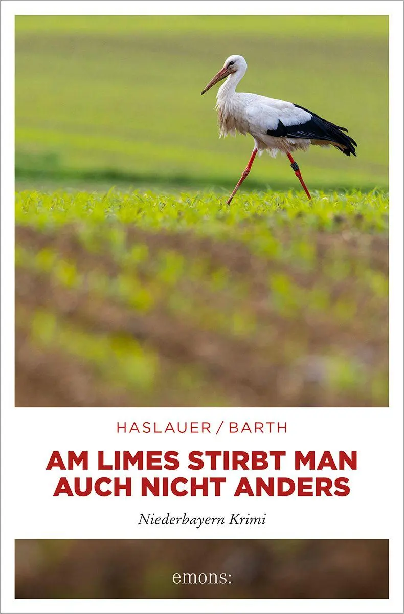 Cover: 9783740828639 | Am Limes stirbt man auch nicht anders | Tessy Haslauer (u. a.) | Buch