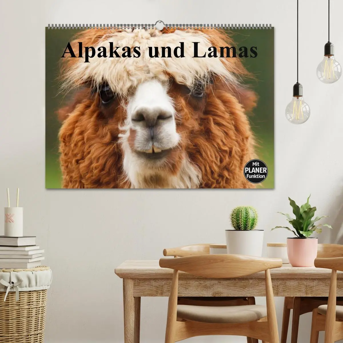 Bild: 9783516008739 | Alpakas und Lamas (Wandkalender 2026 DIN A2 quer), CALVENDO...