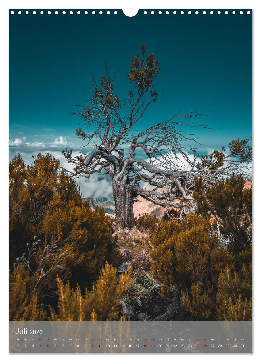 Bild: 9783516318739 | Madeira - Zauber einer Insel (Wandkalender 2026 DIN A3 hoch),...