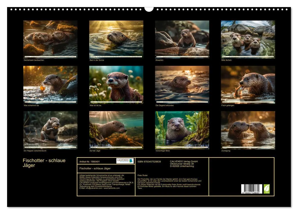 Bild: 9783457528839 | Fischotter - schlaue Jäger (Wandkalender 2026 DIN A2 quer),...