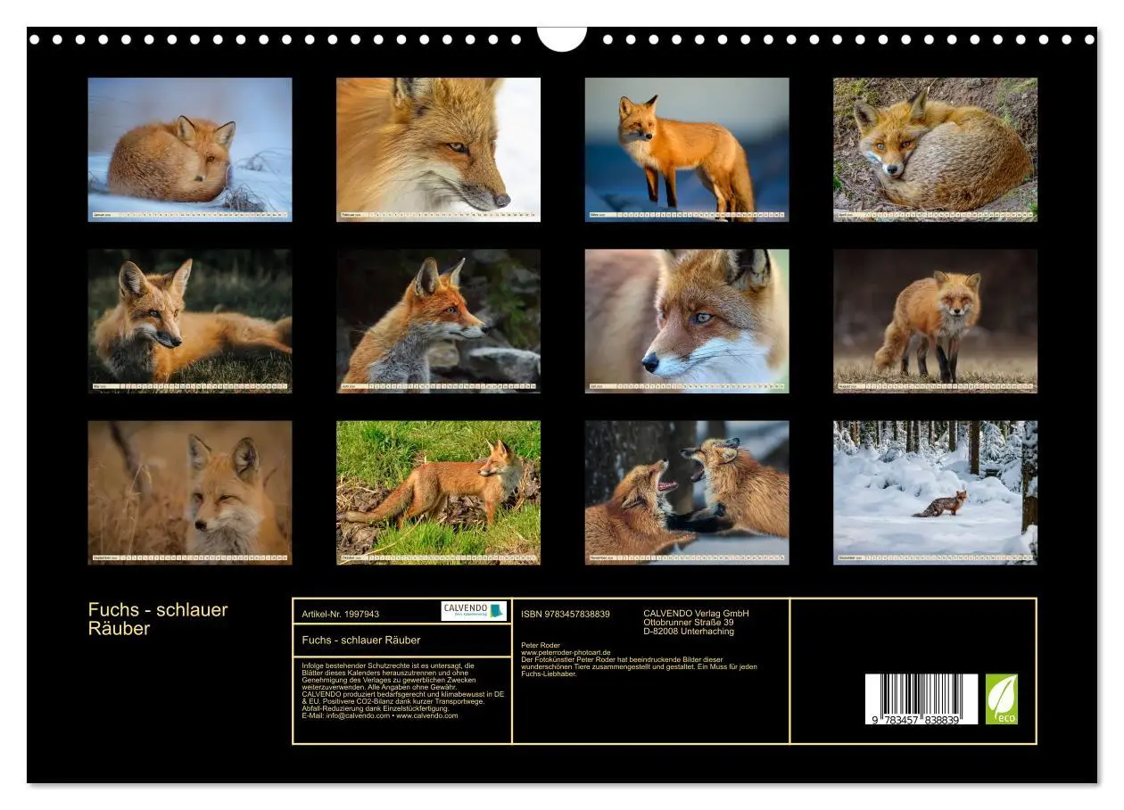 Bild: 9783457838839 | Fuchs - schlauer Räuber (Wandkalender 2026 DIN A3 quer), CALVENDO...