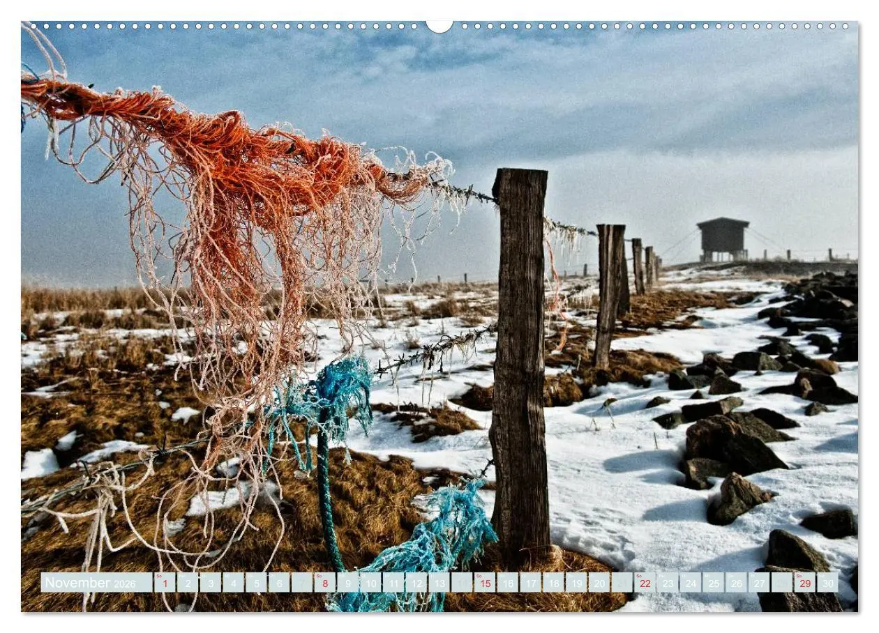 Bild: 9783516168839 | Die Hallig Langeneß (Wandkalender 2026 DIN A2 quer), CALVENDO...