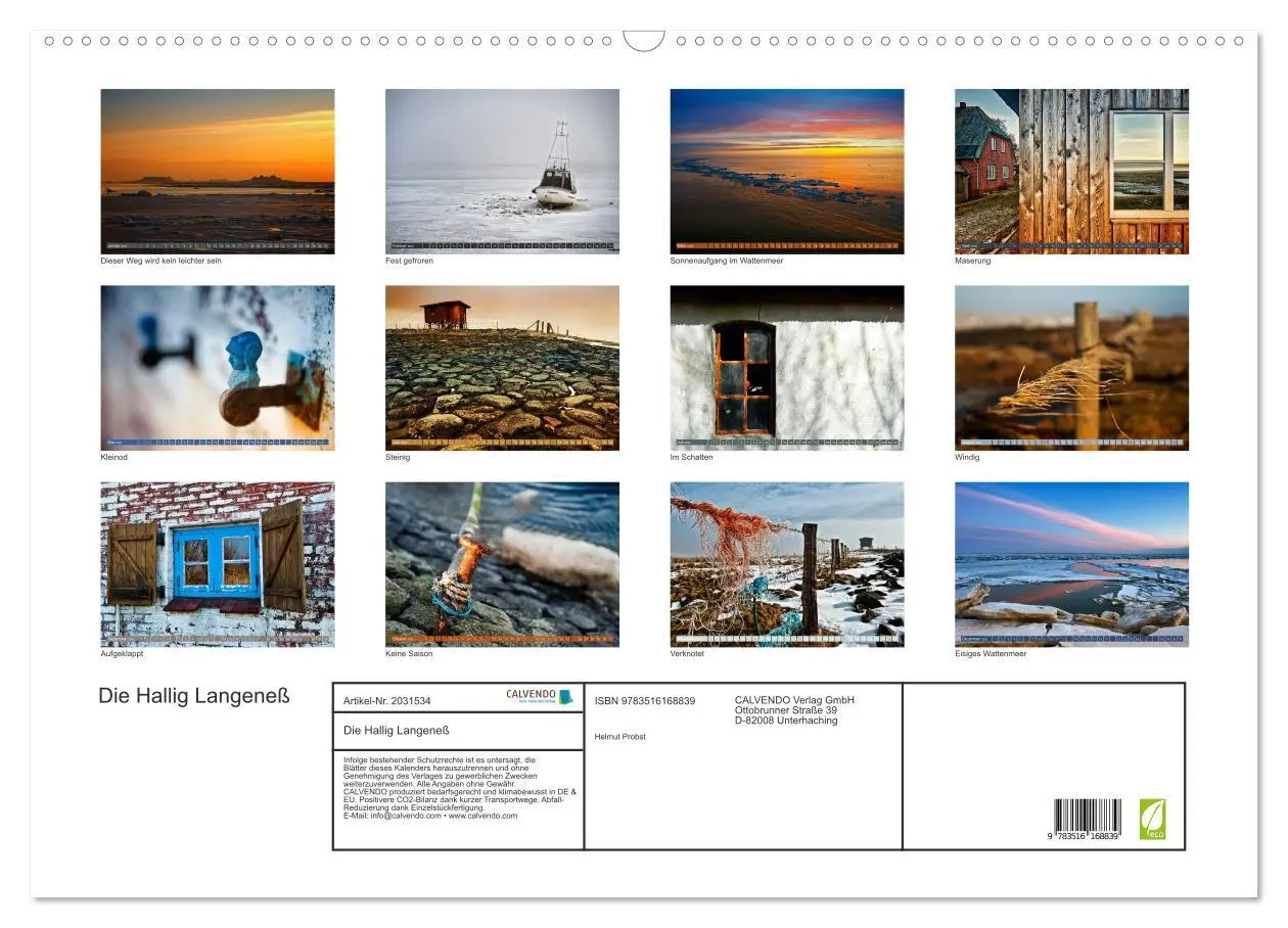 Bild: 9783516168839 | Die Hallig Langeneß (Wandkalender 2026 DIN A2 quer), CALVENDO...