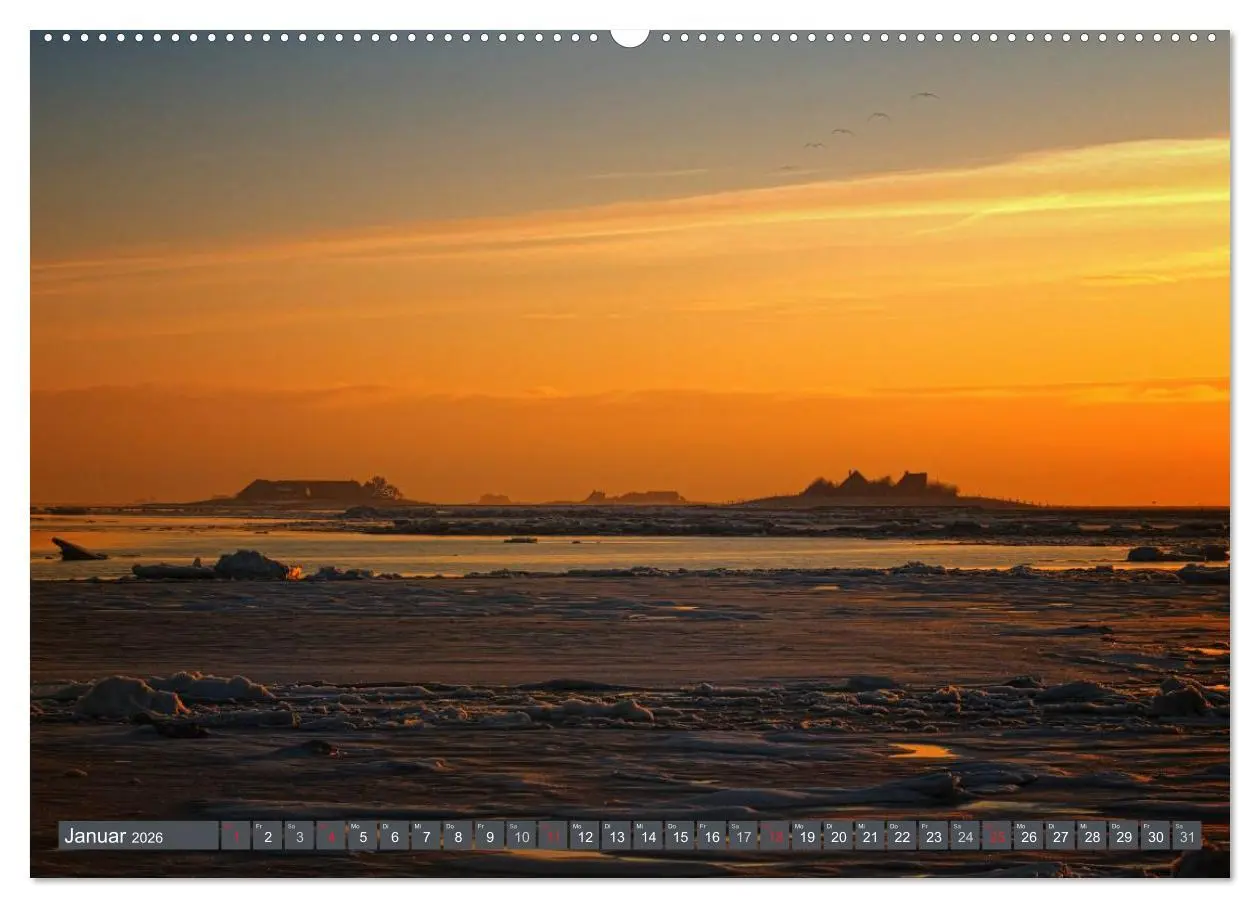 Bild: 9783516168839 | Die Hallig Langeneß (Wandkalender 2026 DIN A2 quer), CALVENDO...