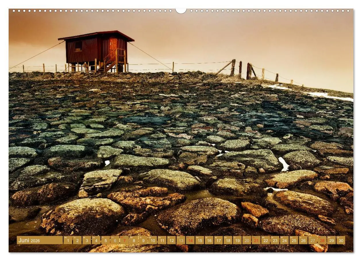 Bild: 9783516168839 | Die Hallig Langeneß (Wandkalender 2026 DIN A2 quer), CALVENDO...