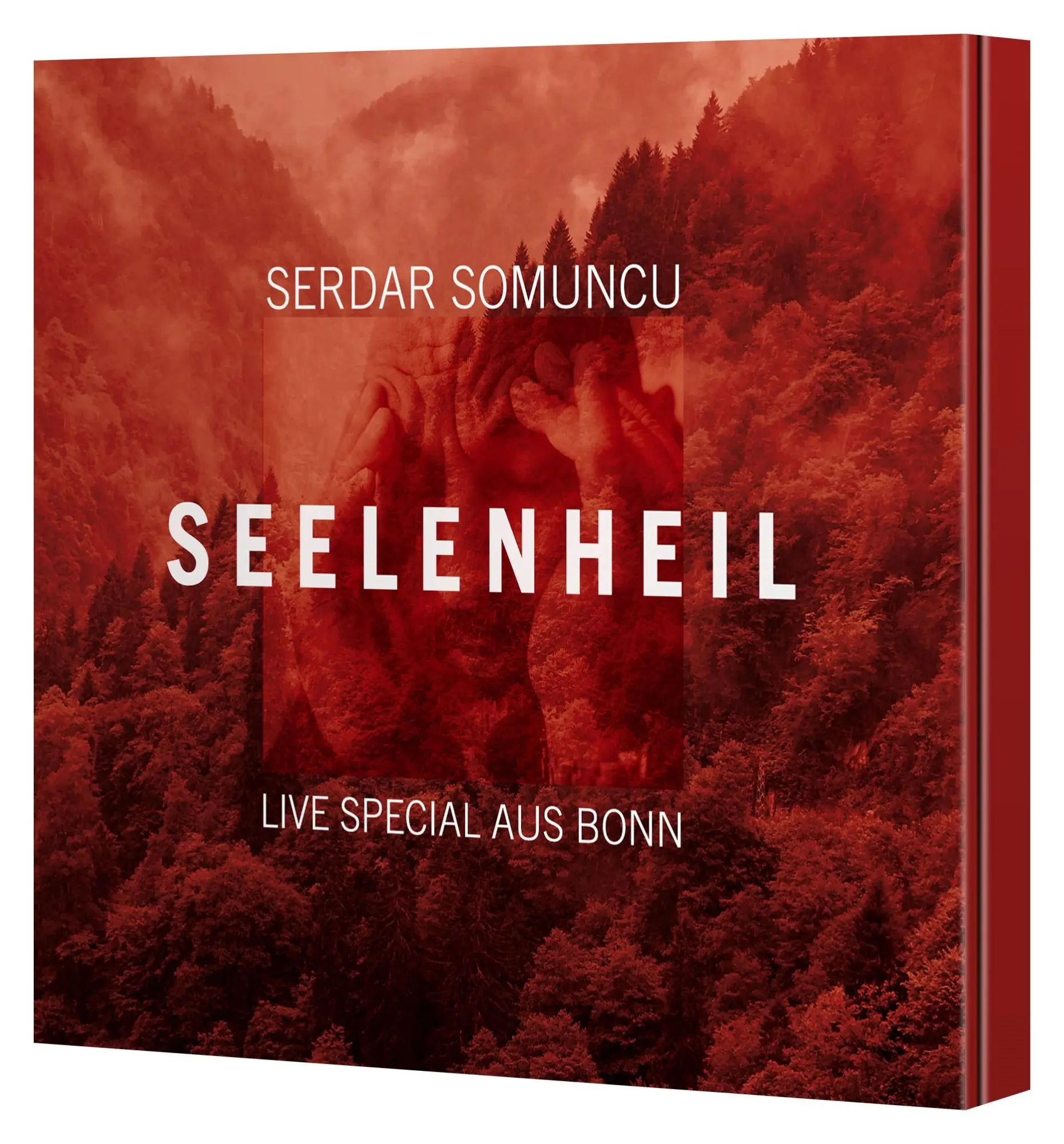 Cover: 9783837168839 | Seelenheil | WortArt | Serdar Somuncu | Audio-CD | 1 Audio-CD | 2024