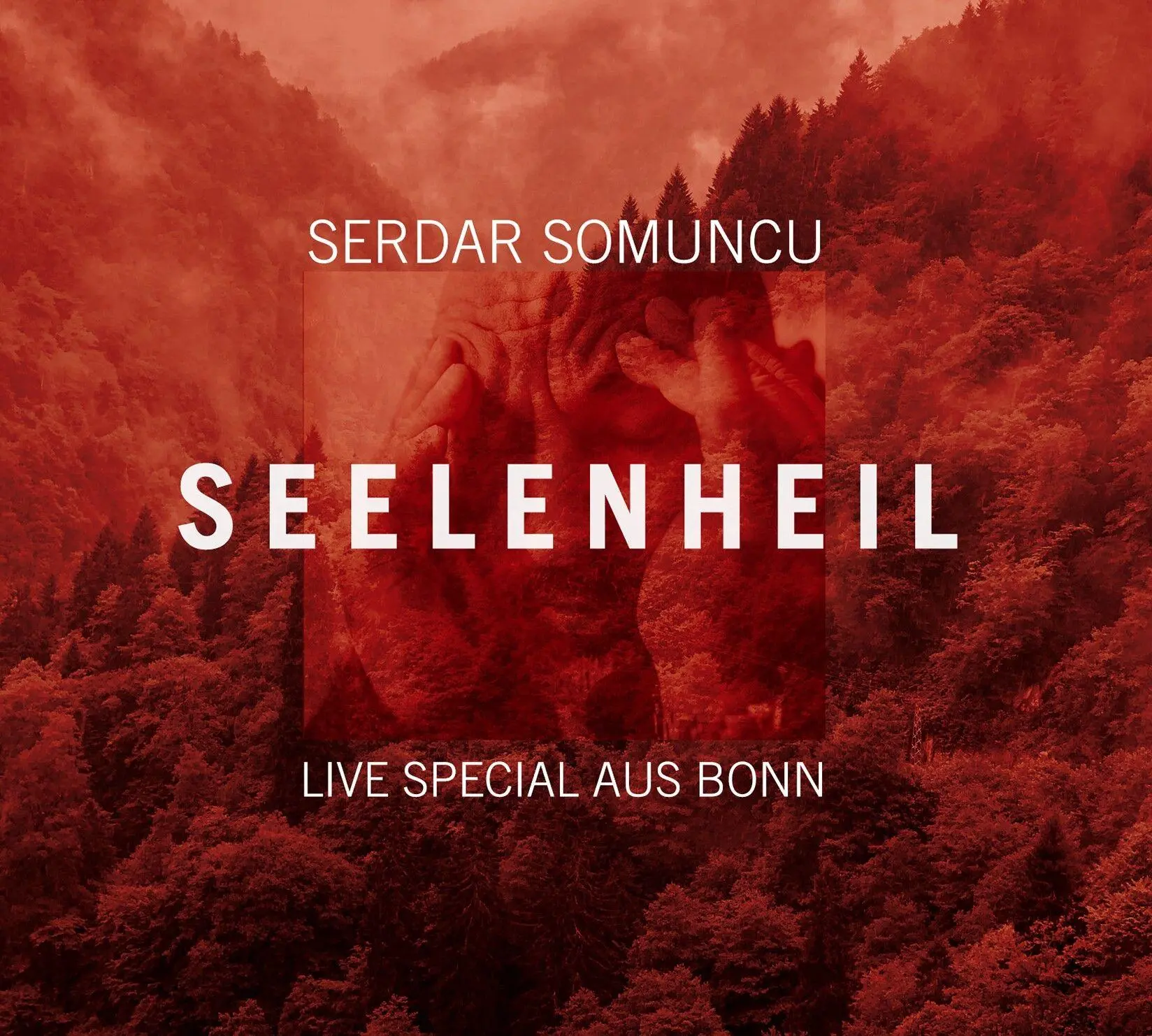 Bild: 9783837168839 | Seelenheil | WortArt | Serdar Somuncu | Audio-CD | 1 Audio-CD | 2024