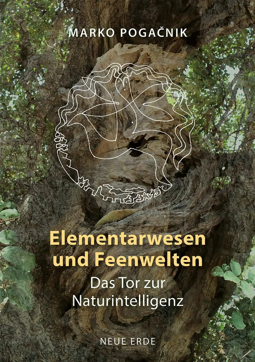 Cover: 9783890608839 | Elementarwesen und Feenwelten | Das Tor zur Naturintelligenz | Buch