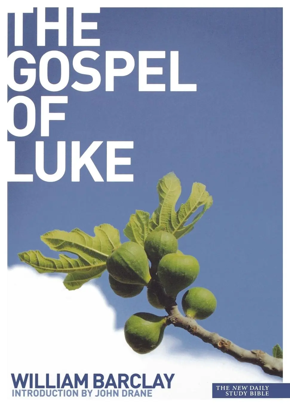 Cover: 9780715208939 | New Daily Study Bible | The Gospel of Luke | William Barclay | Buch