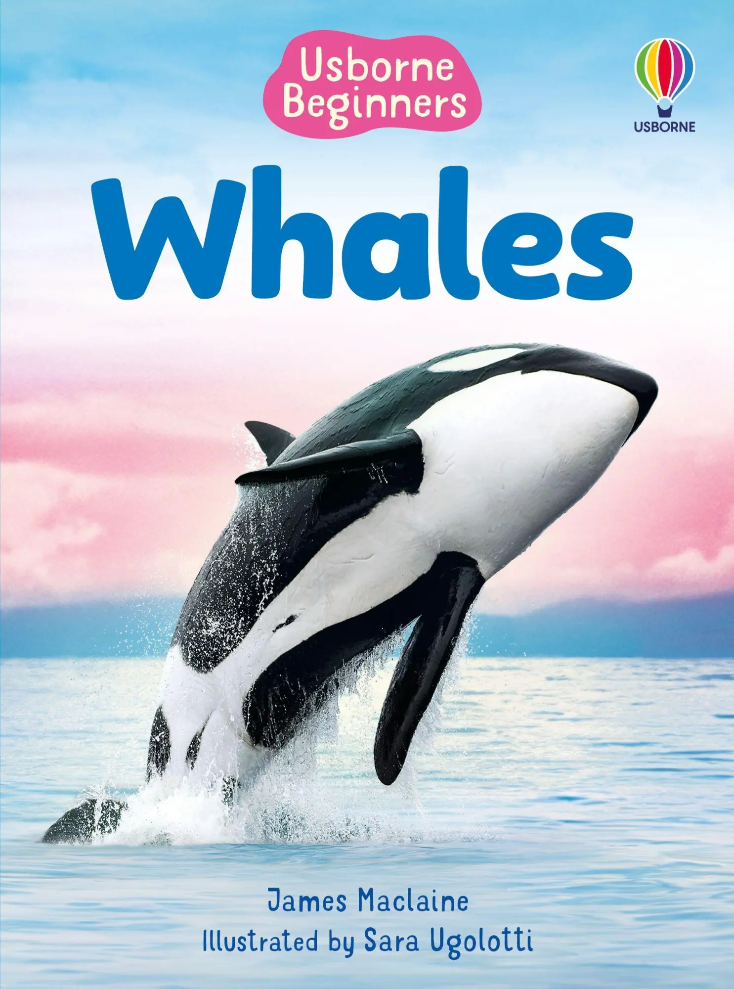 Cover: 9781835409039 | Beginners Whales | James Maclaine | Buch | Beginners | Englisch | 2025