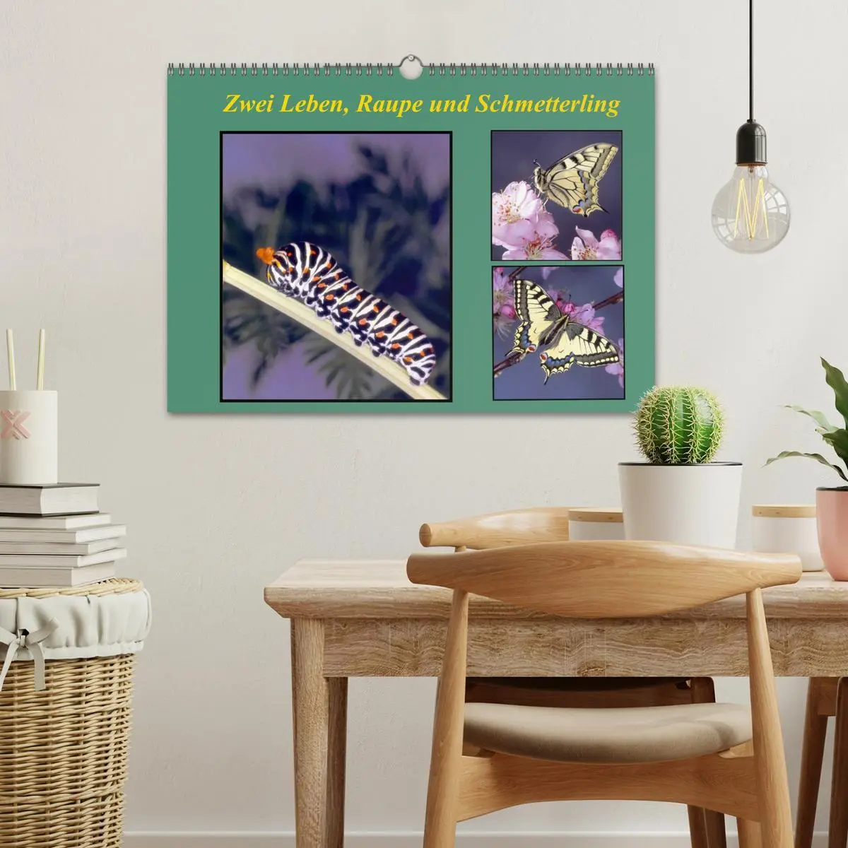Bild: 9783457959039 | Zwei Leben, Raupe und Schmetterling (Wandkalender 2026 DIN A3...