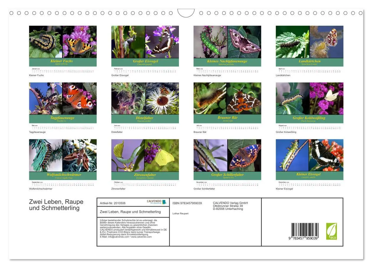 Bild: 9783457959039 | Zwei Leben, Raupe und Schmetterling (Wandkalender 2026 DIN A3...