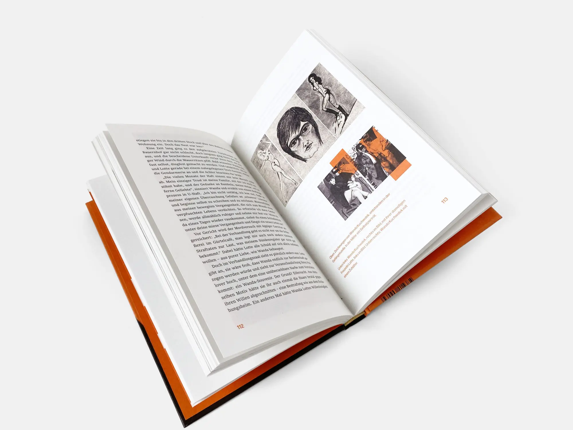 Bild: 9783710609039 | Wilde Wanda | Clemens Marschall | Buch | 208 S. | Deutsch | 2025